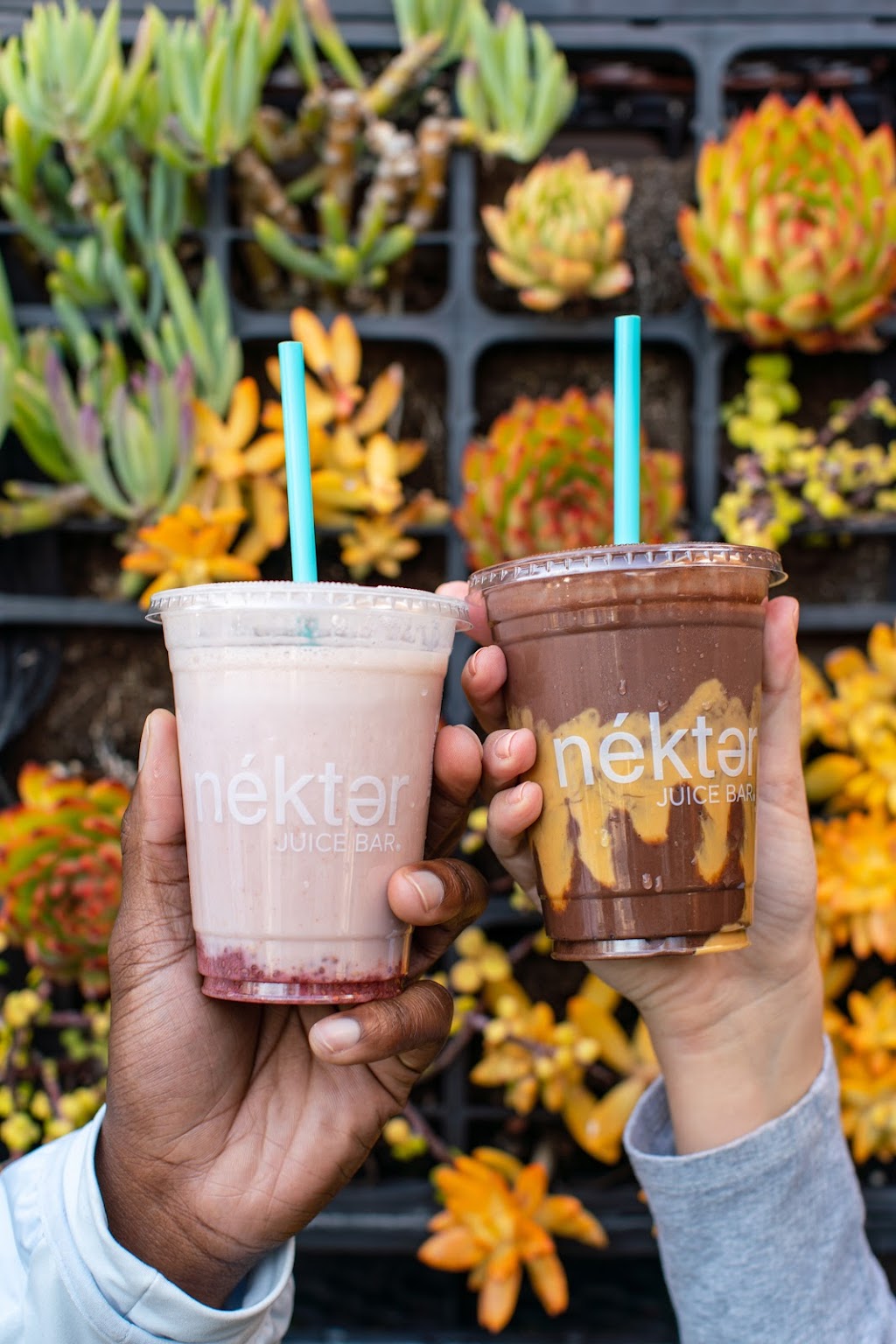Nekter Juice Bar | cafe | 7450 Elk Grove Blvd #120, Elk Grove, CA 95757, USA | 9169939180 OR +1 916-993-9180