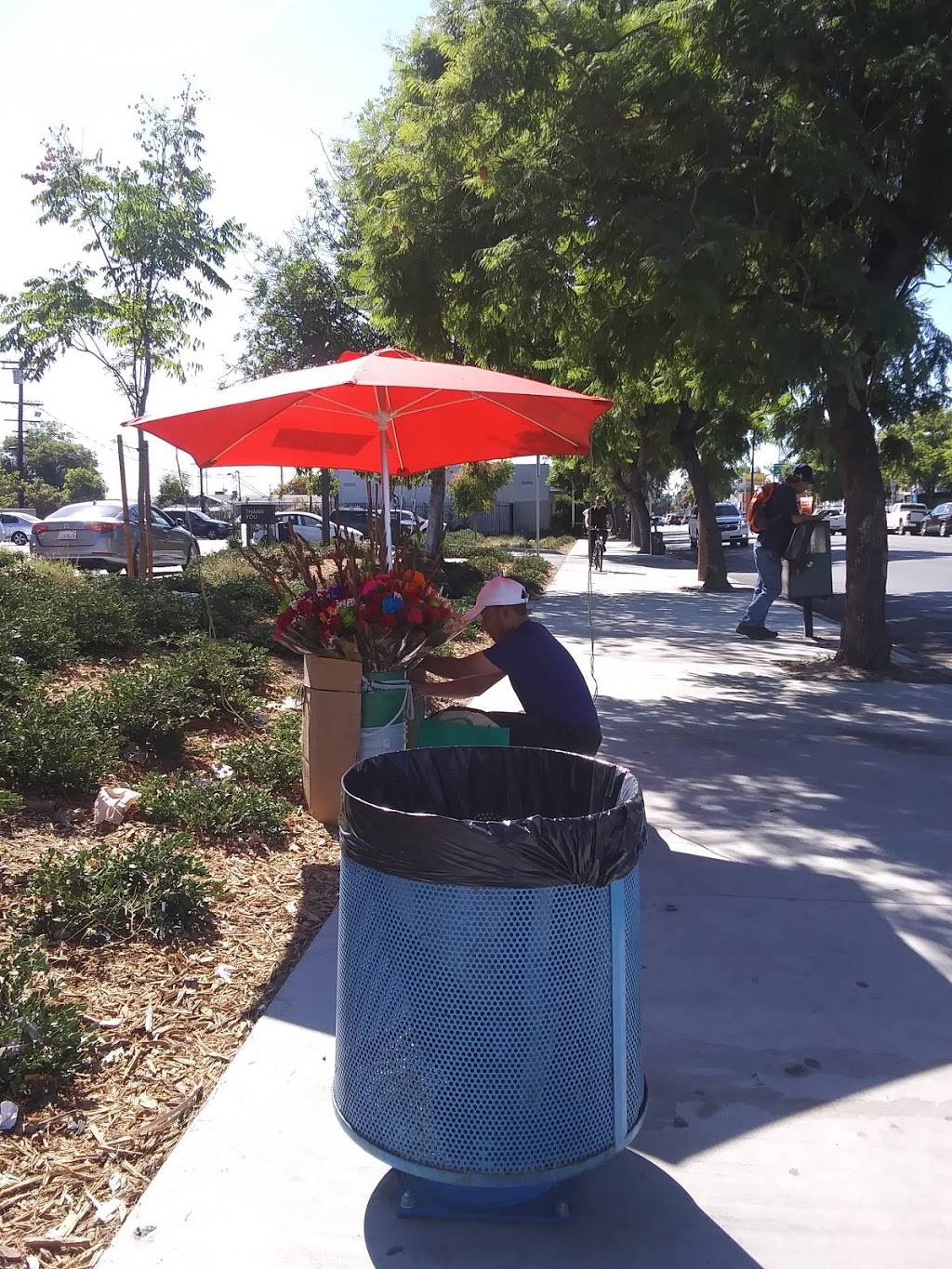 Starbucks | cafe | 8274 Sunland Blvd, Sun Valley, CA 91352, USA | 7472046981 OR +1 747-204-6981