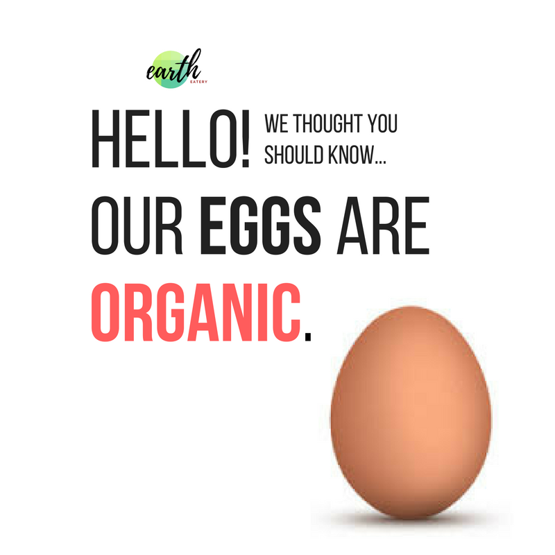 Earth Eatery | restaurant | 5300 Walker Rd, Windsor, ON N9A 6J3, Canada | 5199779111 OR +1 519-977-9111