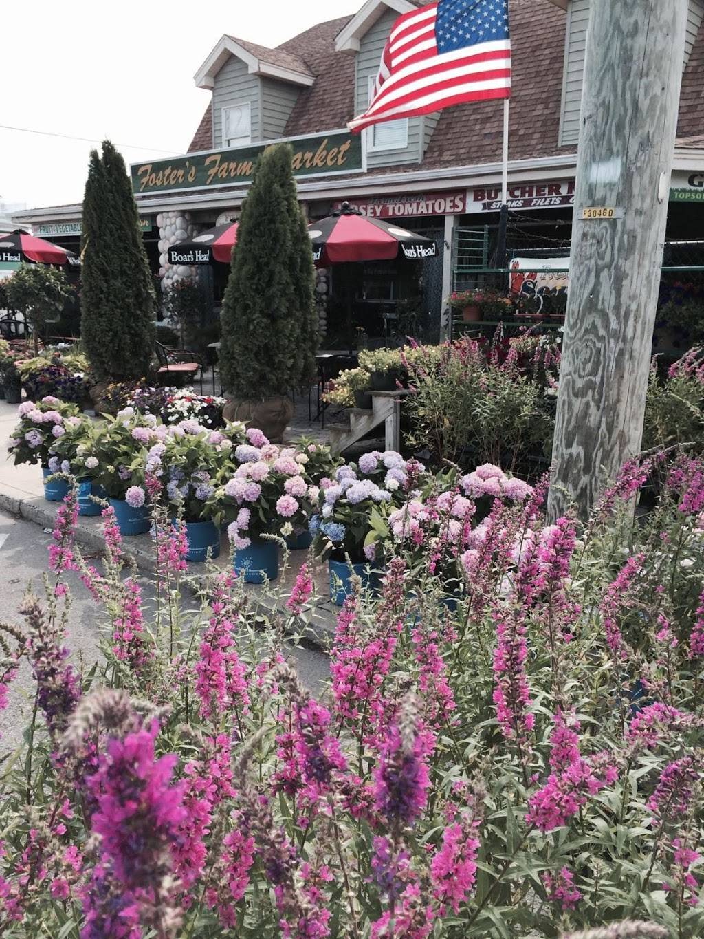 Fosters Farm Market and Landscape Company | restaurant | 400 N Bay Ave, Beach Haven, NJ 08008, USA | 6094921360 OR +1 609-492-1360
