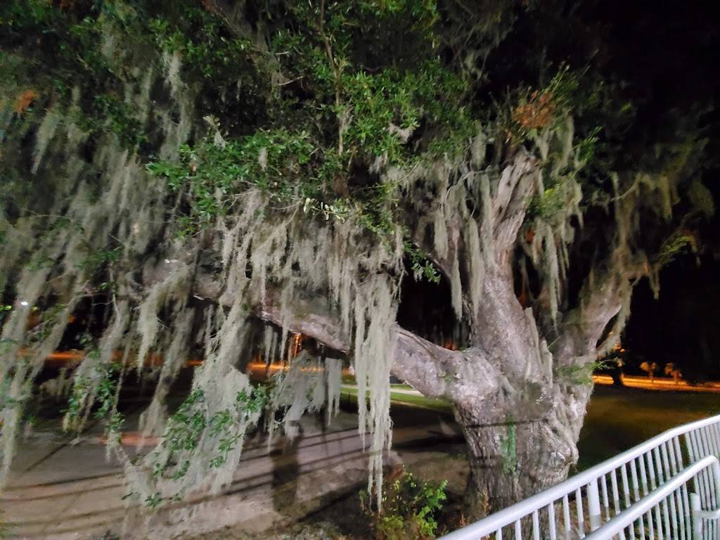 Waffle House | meal takeaway | 618 Beach Blvd, Biloxi, MS 39530, USA | 2282336115 OR +1 228-233-6115