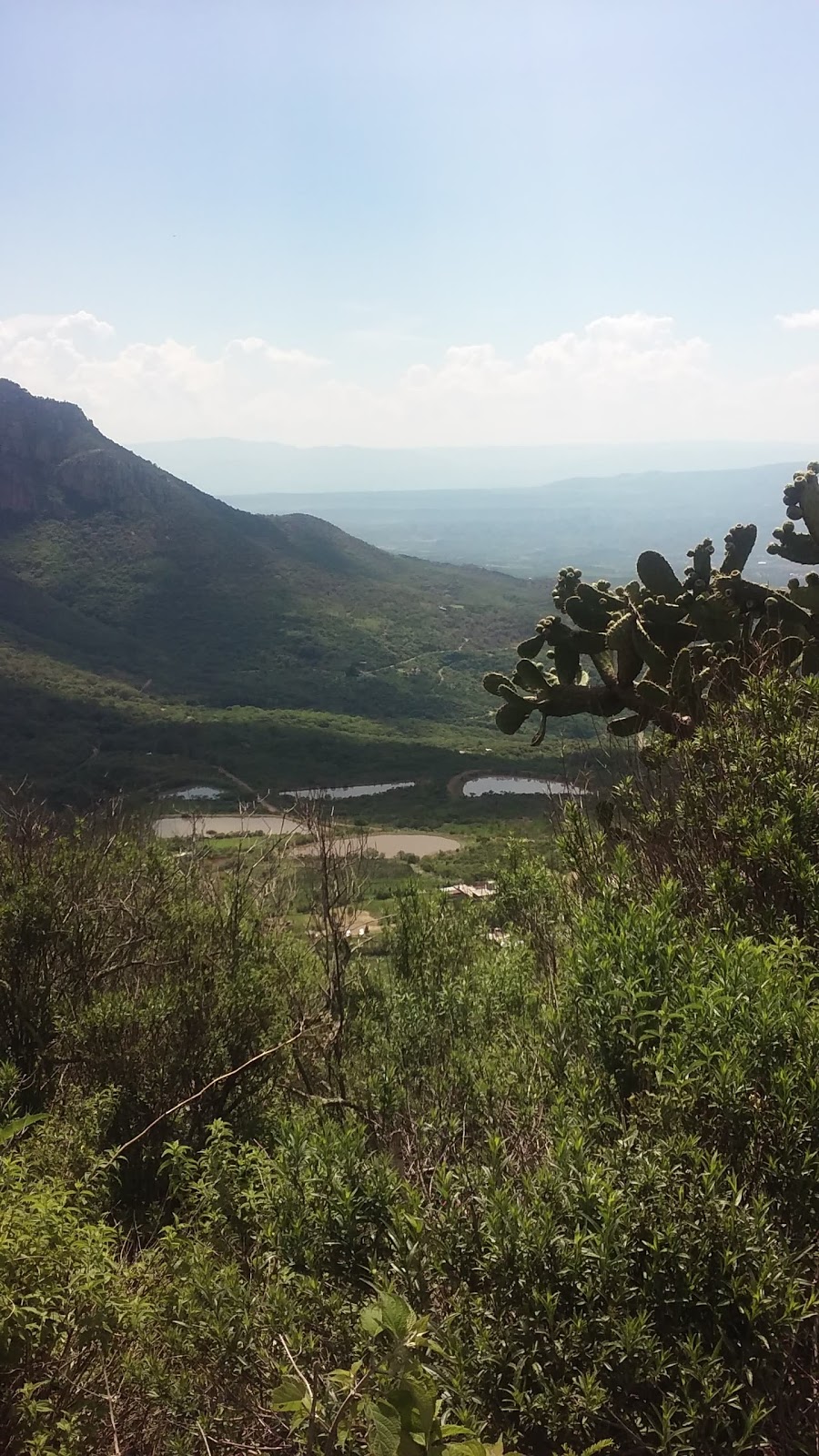 Pablitos Place | restaurant | 496 Memo Robinson Dr, Eagle Pass, TX 78852, USA | 8302130212 OR +1 830-213-0212