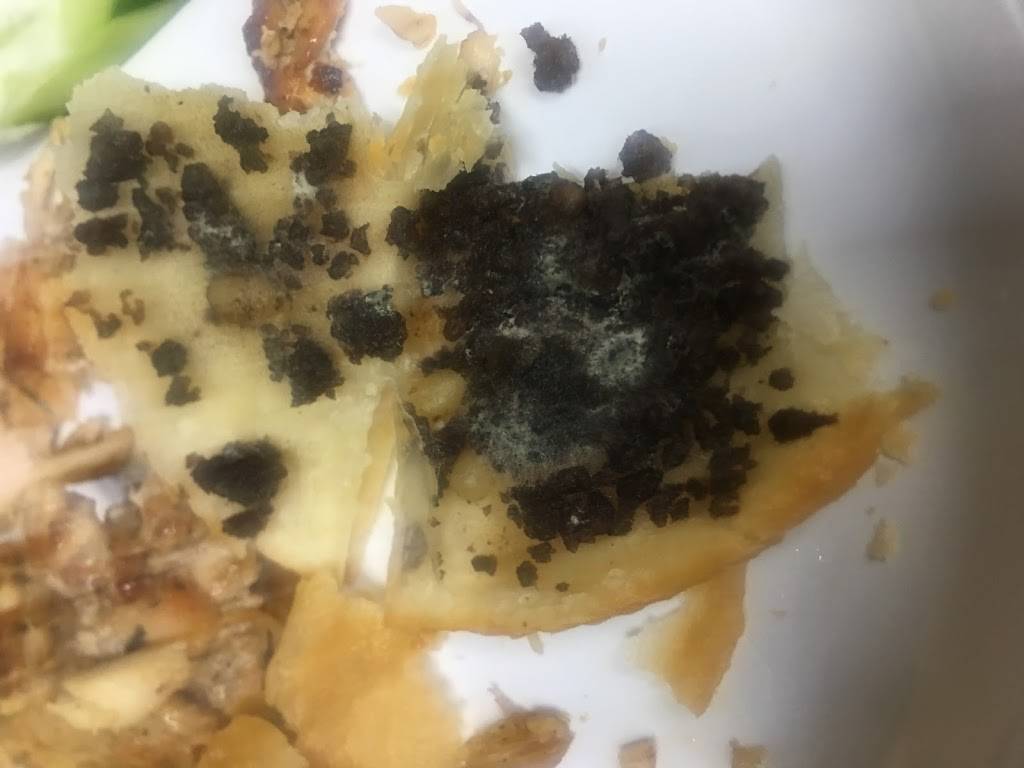 Damas broasted | restaurant | 12745 W Warren Ave, Dearborn, MI 48126, USA | 3132285756 OR +1 313-228-5756