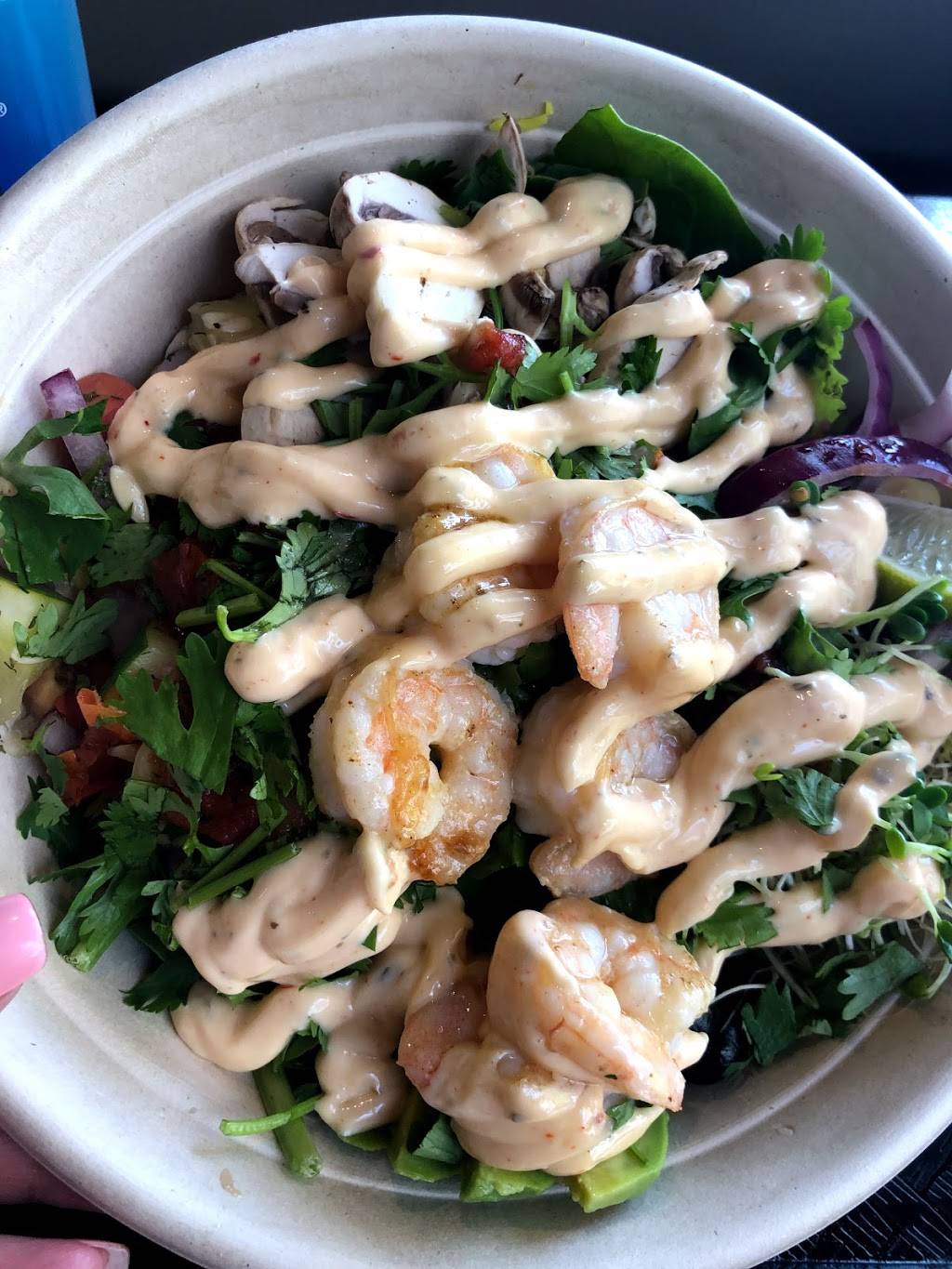 Hot Pita | restaurant | 136 Franklin St, Clarksville, TN 37040, USA | 9318025100 OR +1 931-802-5100