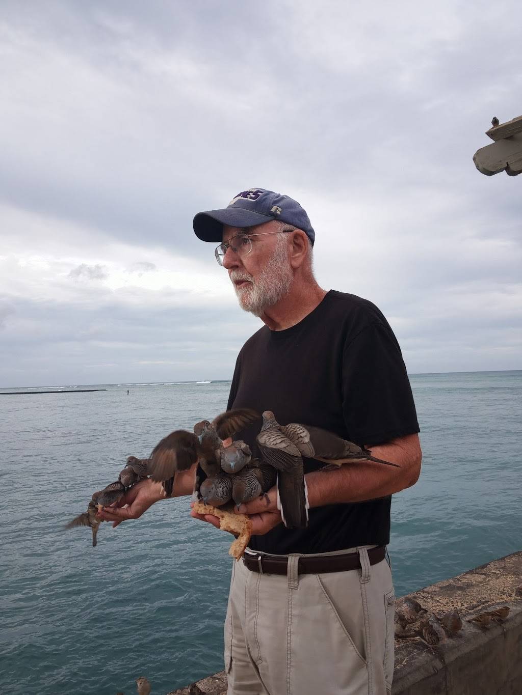 DQ / オレンジ・ジュリアス | restaurant | 198 Paoa Pl, Honolulu, HI 96815, USA | 8089468866 OR +1 808-946-8866