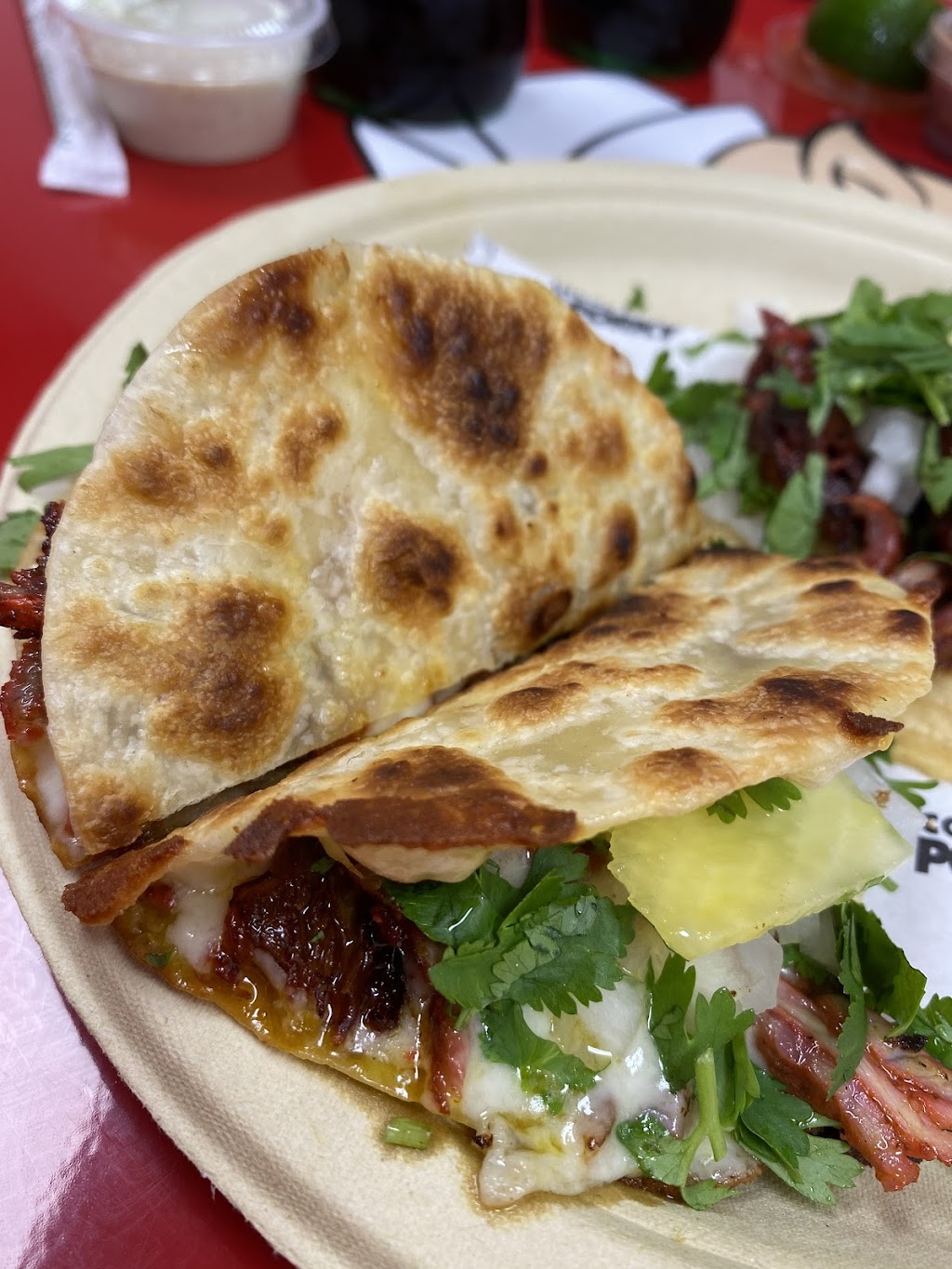 Tacos El Porky | restaurant | 16 W Flagler St, Miami, FL 33130, USA | 3053597997 OR +1 305-359-7997