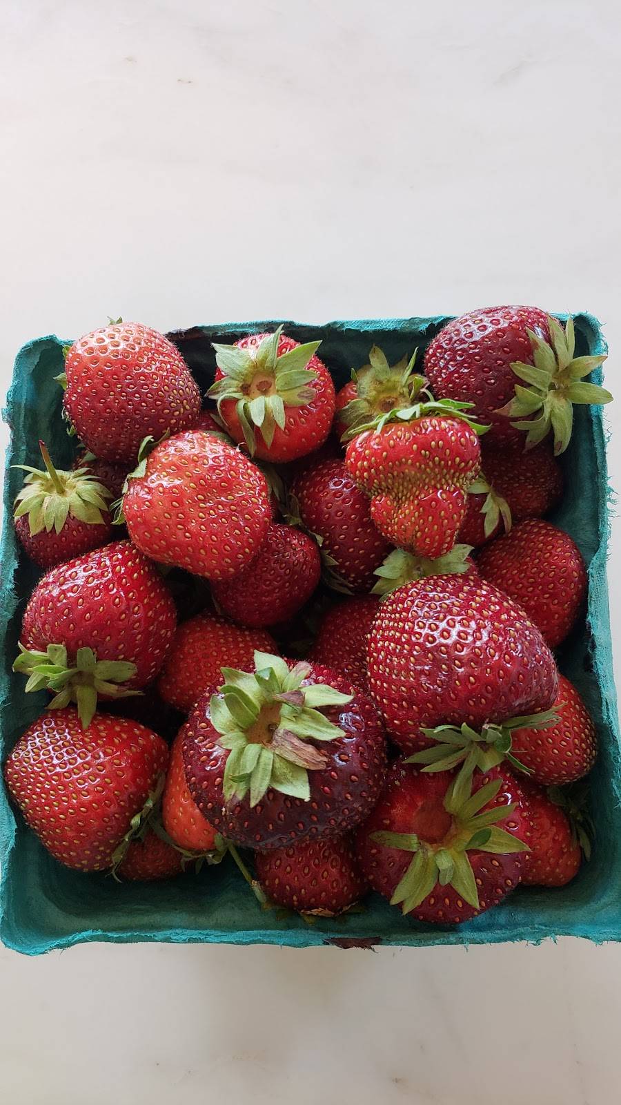 Van Allen Farms | meal takeaway | 806 Rte 9W, Glenmont, NY 12077, USA | 5187679101 OR +1 518-767-9101