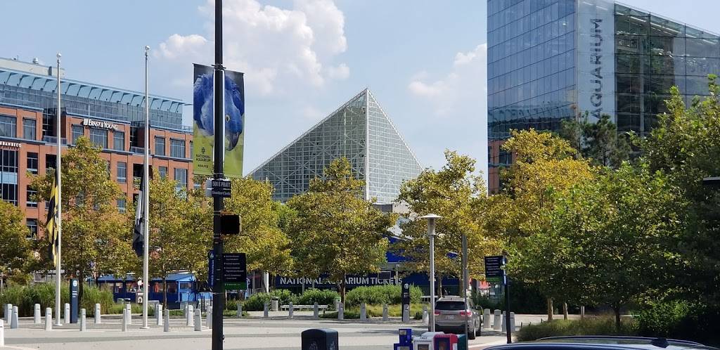 Nalley Fresh | restaurant | 400 E Pratt St, Baltimore, MD 21202, USA | 4438859437 OR +1 443-885-9437