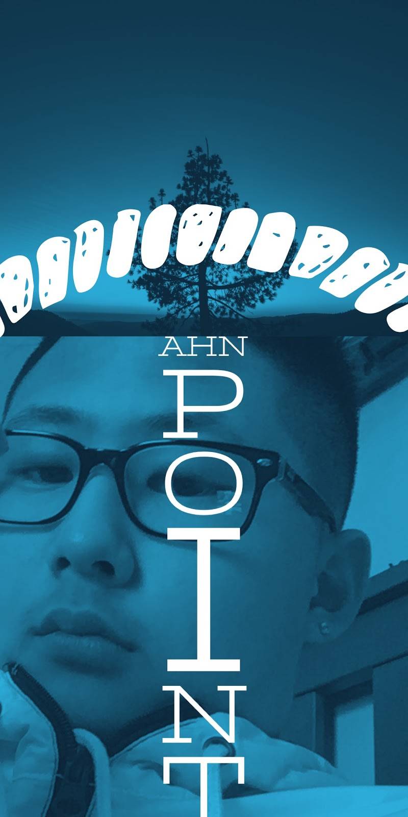 Ahn point international resturant reccomendations | restaurant | 217 S Craig Pl, Lombard, IL 60148, USA | 6308772805 OR +1 630-877-2805