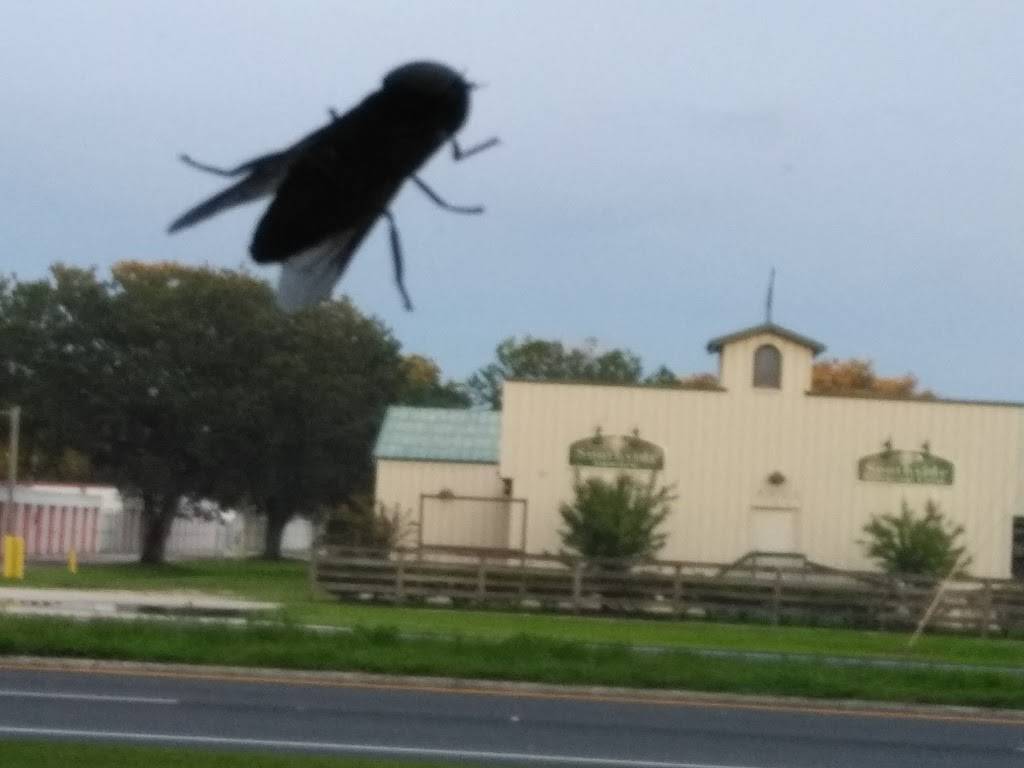 Olde Town Pizzeria & Pasta Co. | restaurant | 3011 James L Redman Pkwy, Plant City, FL 33566, USA | 8137525800 OR +1 813-752-5800