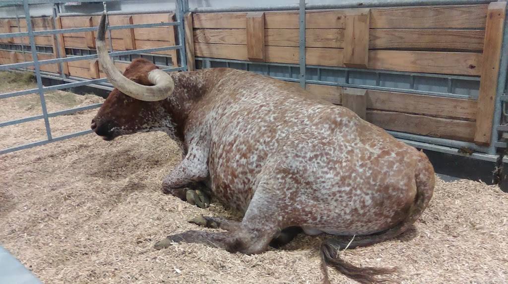 Fonner Park | restaurant | 700 E Stolley Park Rd, Grand Island, NE 68801, USA | 3083824515 OR +1 308-382-4515