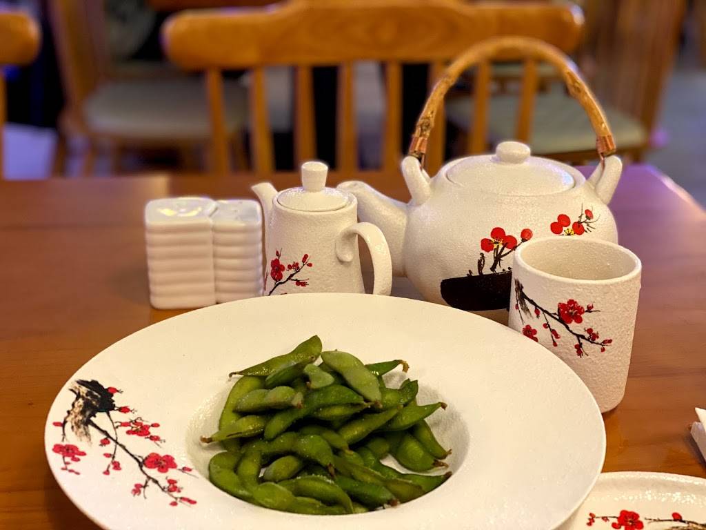 MOCA Asian Cuisine | restaurant | 11244 Boyette Rd, Riverview, FL 33569, USA | 8135122126 OR +1 813-512-2126