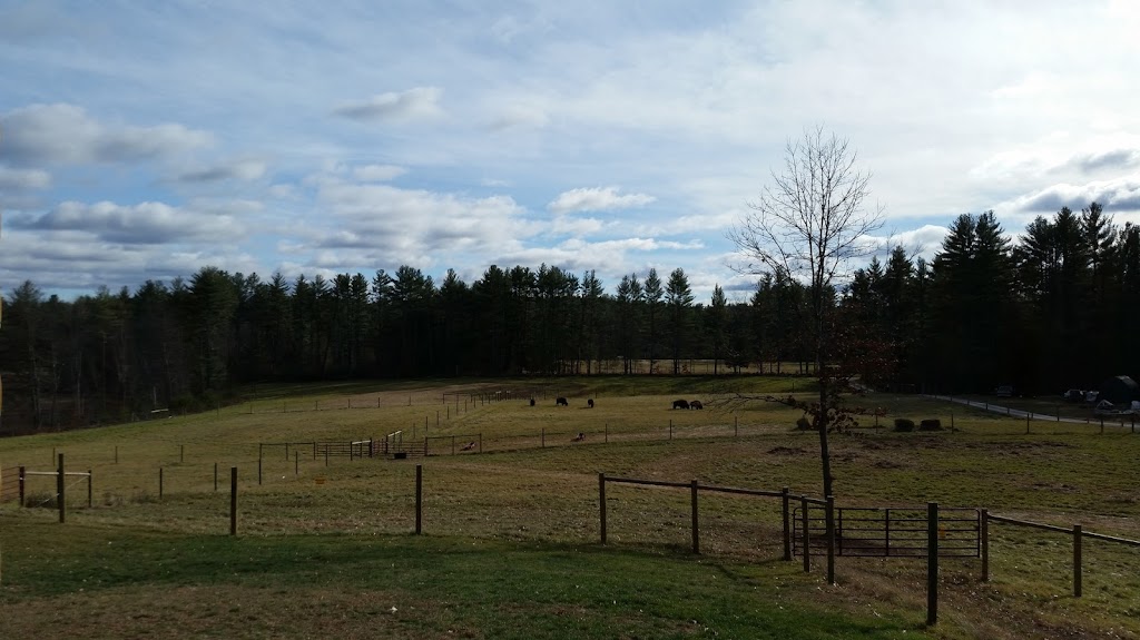 Marsh Meadow Bison | restaurant | 16 Scales Rd, Canterbury, NH 03224, USA | 6037830083 OR +1 603-783-0083