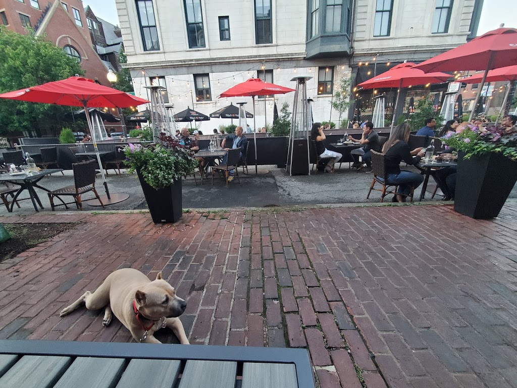 Black Lamb | restaurant | 571 Tremont St, Boston, MA 02118, USA | 6179826330 OR +1 617-982-6330