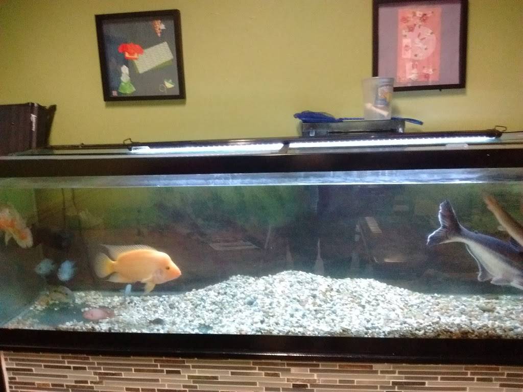 Sushi Time | restaurant | 2359 Millersport Hwy #1221, Getzville, NY 14068, USA | 7169327357 OR +1 716-932-7357