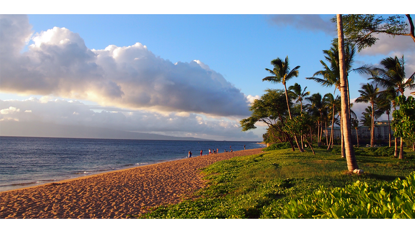 Da Kines Plate Lunches | restaurant | 5401 Linda Vista Rd Unit 402, San Diego, CA 92110, USA | 8583022096 OR +1 858-302-2096