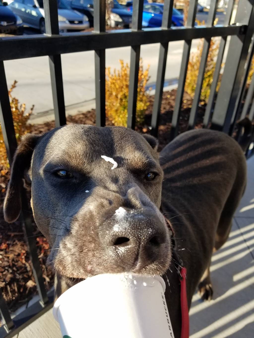 Starbucks | cafe | 821 Dawsonville Hwy, Gainesville, GA 30501, USA | 7702878824 OR +1 770-287-8824