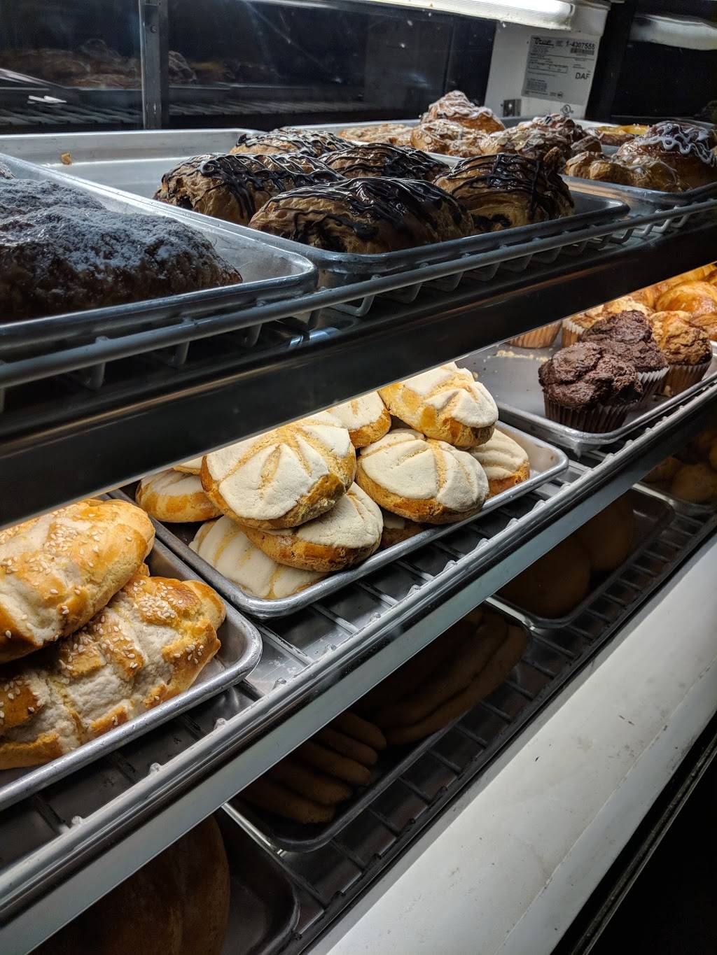 Antigua Bread | cafe | 5703 N Figueroa St, Los Angeles, CA 90042, USA | 3232599345 OR +1 323-259-9345