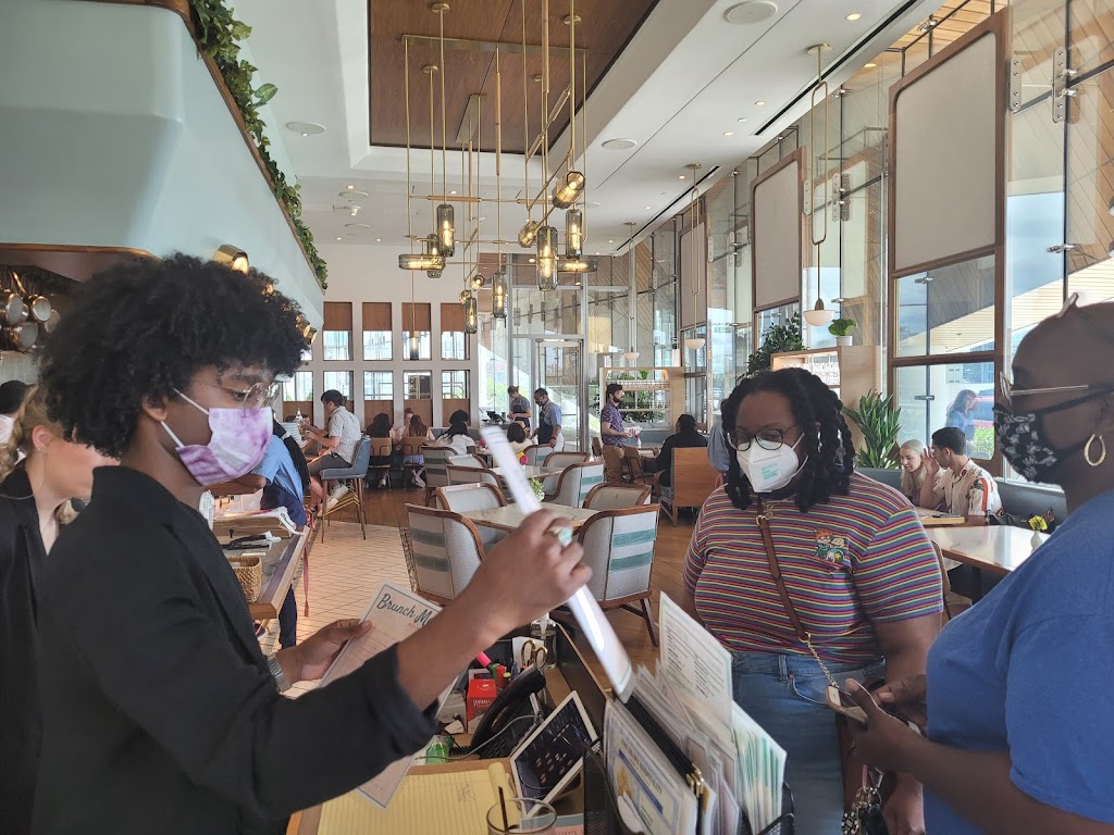 Walnut Street Cafe | cafe | 2929 Walnut St, Philadelphia, PA 19104, USA | 2158678067 OR +1 215-867-8067