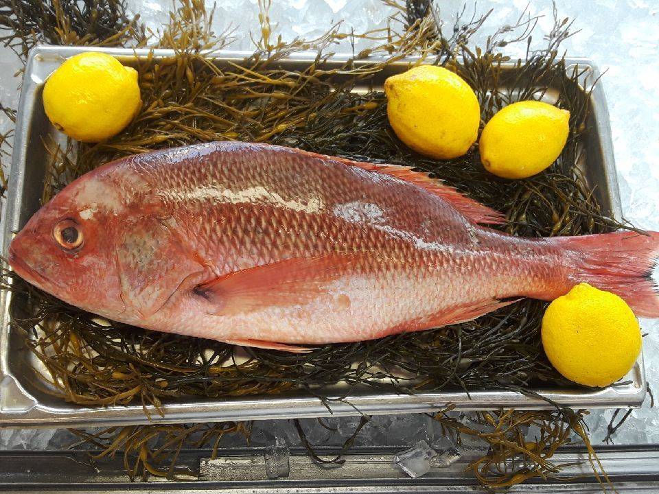 Anthonys Pier 4 Fish Market | meal takeaway | 153 Humphrey St, Swampscott, MA 01907, USA | 7815818884 OR +1 781-581-8884