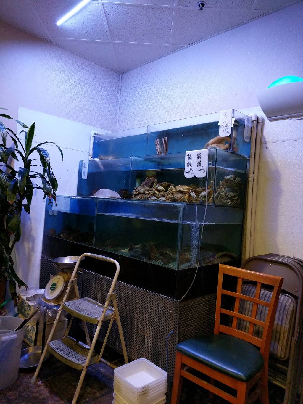 Fresh Elements | restaurant | 83 Skyline Plaza, Daly City, CA 94015, USA | 6507563600 OR +1 650-756-3600