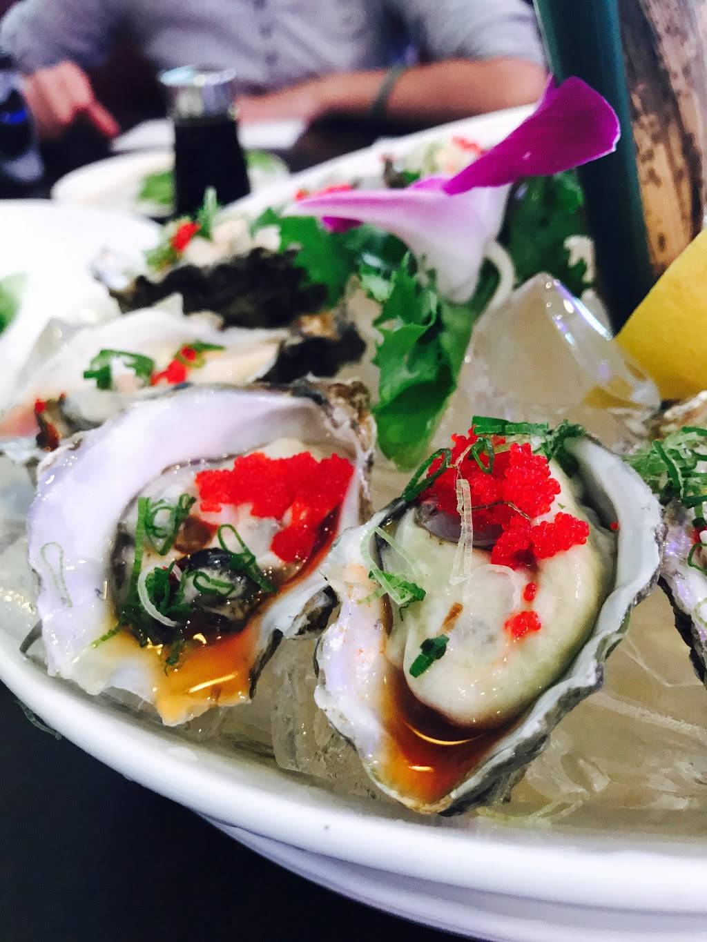 Nova Asian Bistro | restaurant | 1215 Jericho Turnpike, New Hyde Park, NY 11040, USA | 5162808866 OR +1 516-280-8866