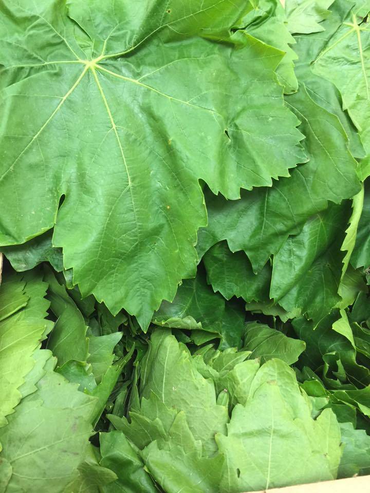 Al Qassam Middle Eastern Supermarket | bakery | 12842 N 56th St, Tampa, FL 33617, USA | 8139892132 OR +1 813-989-2132