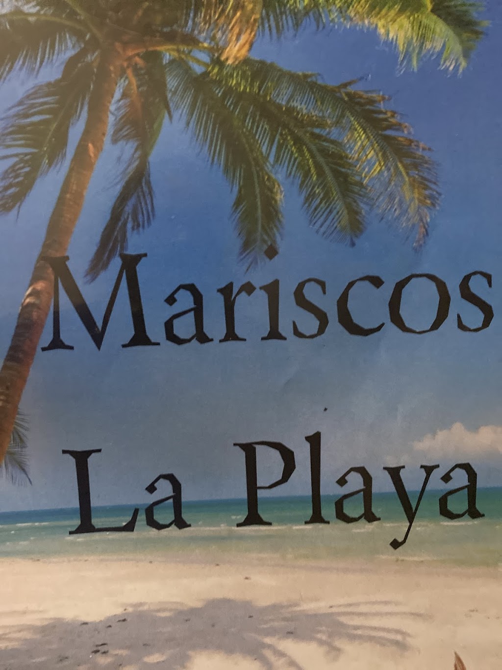 La playa | restaurant | 10038 Vincent Rd, Delhi, CA 95315, USA | 2092501220 OR +1 209-250-1220