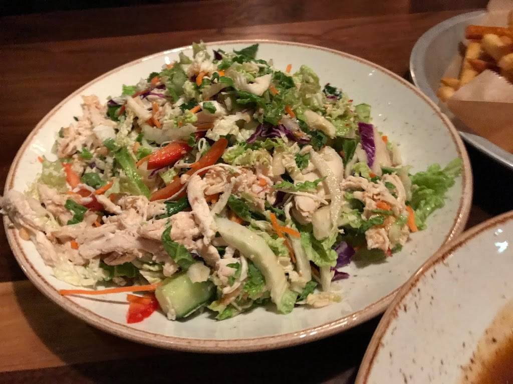 Lazy Dog Restaurant & Bar | restaurant | 19359 Stevens Creek Blvd, Cupertino, CA 95014, USA | 4083594690 OR +1 408-359-4690