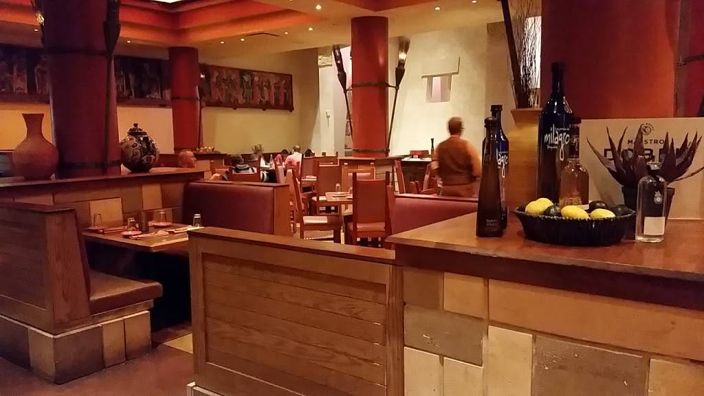 Maya Grill | restaurant | 1000 W Buena Vista Dr, Orlando, FL 32830, USA | 4079393804 OR +1 407-939-3804