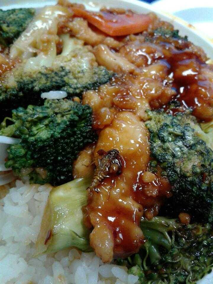 Shogun Wok Edison | restaurant | 251 N Lafayette Rd, Edison, NJ 08837, USA | 7325481500 OR +1 732-548-1500