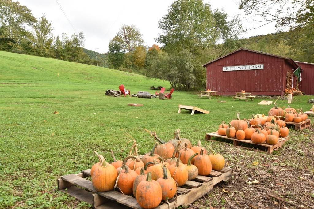 Mckie Hollow Farm | restaurant | 359 Mc Kie Hollow Rd, Cambridge, NY 12816, USA | 5183504991 OR +1 518-350-4991