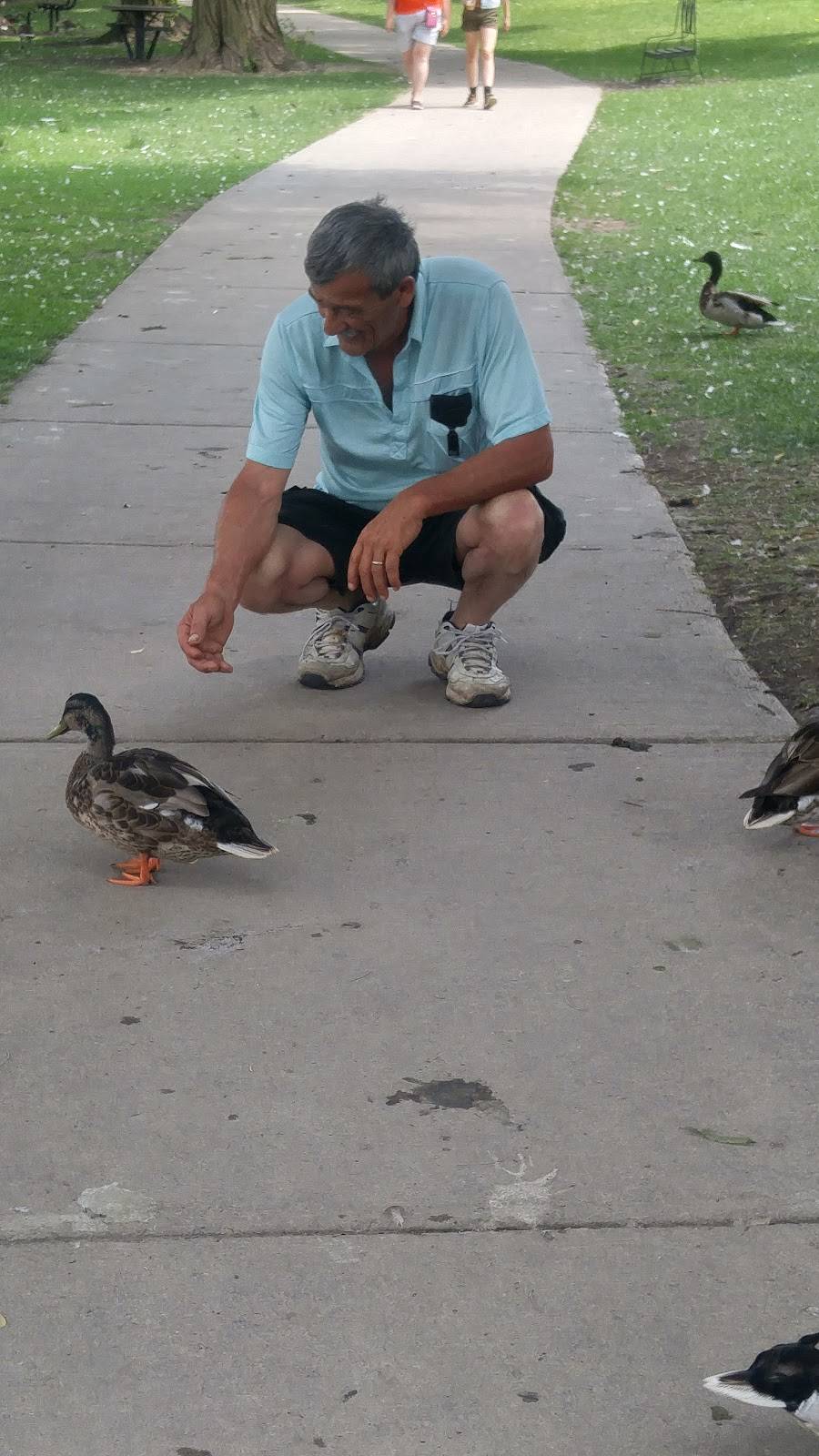 Boat House Patio | restaurant | 30 York St, Stratford, ON N5A 1A1, Canada | 5192717739 OR +1 519-271-7739