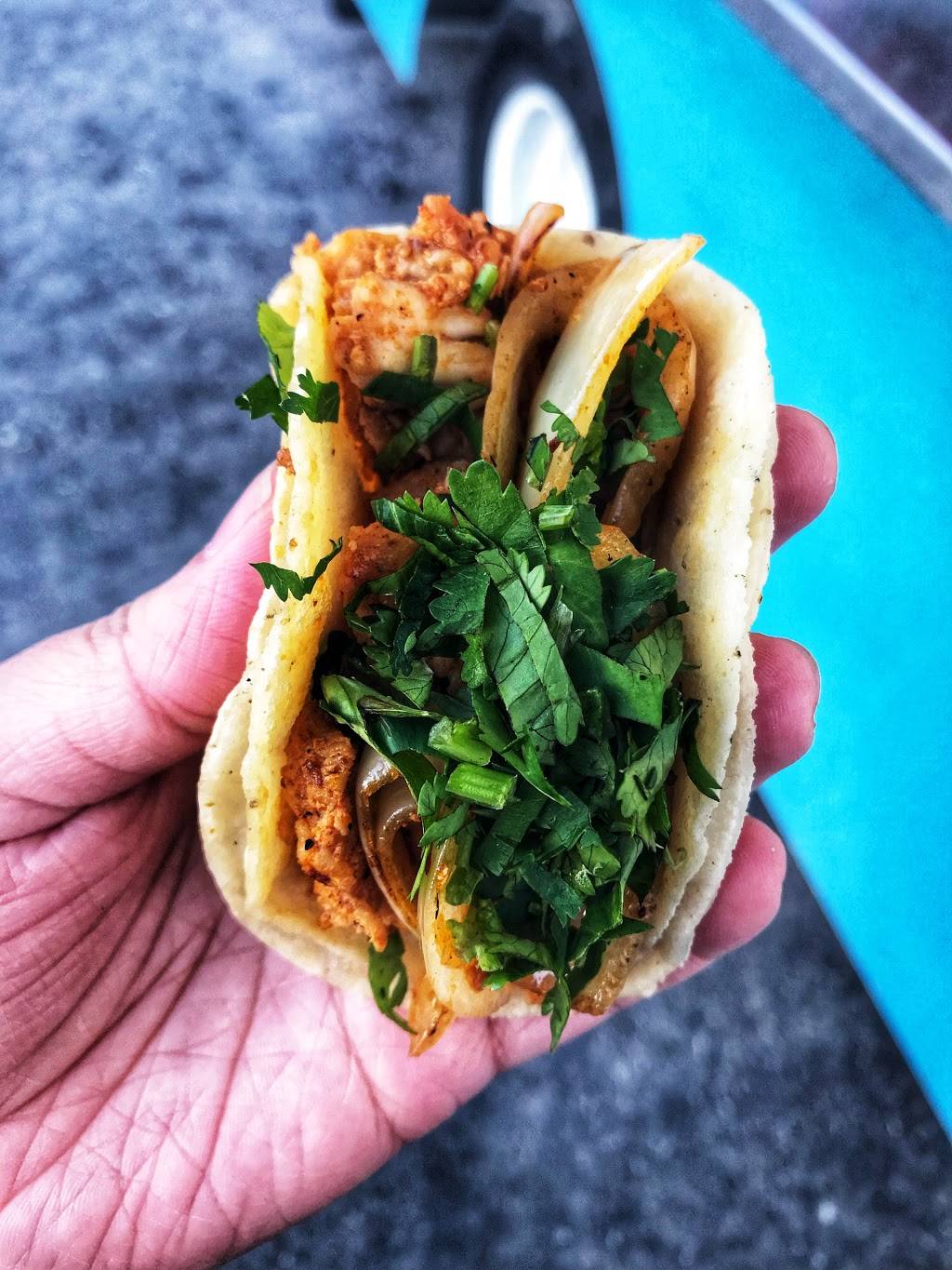 Taqueria El Huache | restaurant | 5700-5780 Alder Dr, Houston, TX 77081, USA | 2817468310 OR +1 281-746-8310