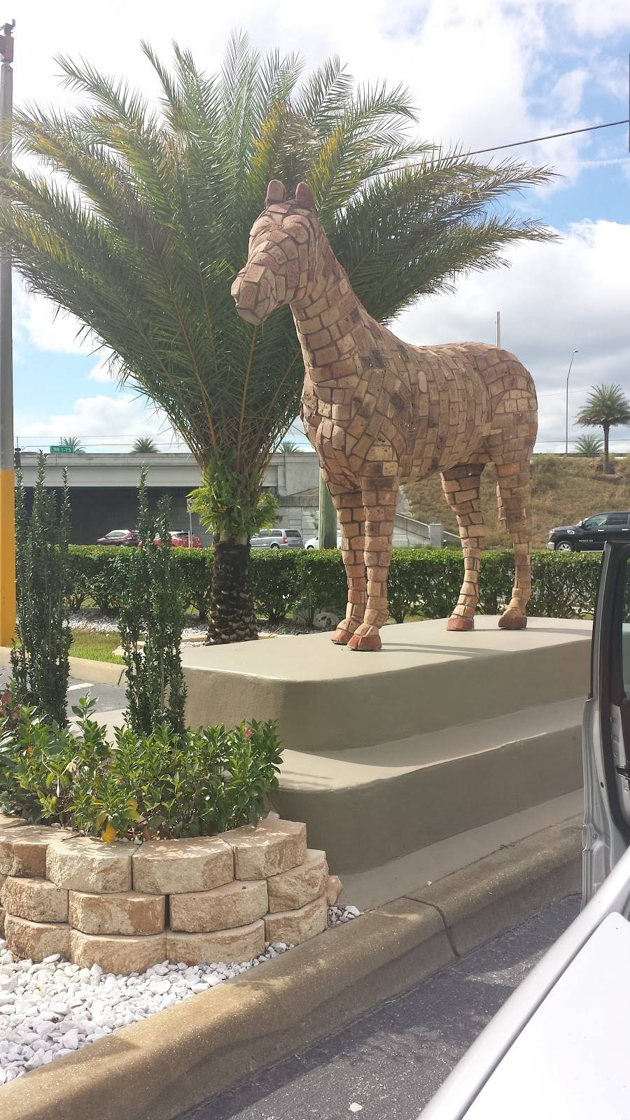 Hook Fish and Chicken | restaurant | 3710 W SW College Rd, Ocala, FL 34474, USA | 3525120694 OR +1 352-512-0694