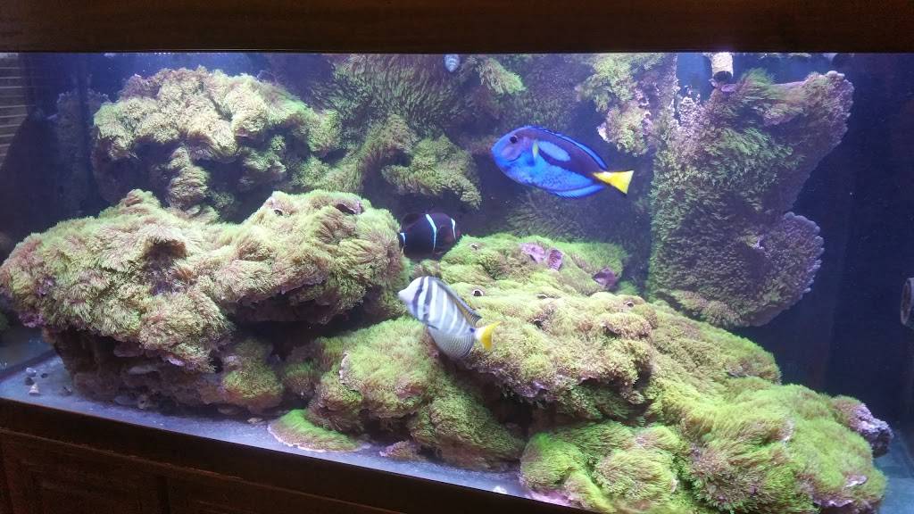 Wolf Den Family Restaurant | restaurant | 1901 W California St, Gainesville, TX 76240, USA | 9406659653 OR +1 940-665-9653