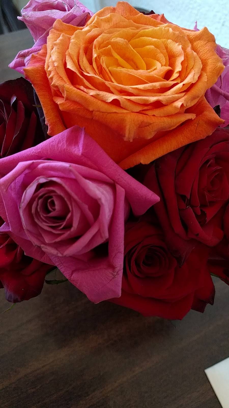 Vanda Thai | restaurant | 1250 Newell Ave, Walnut Creek, CA 94596, USA | 9259359335 OR +1 925-935-9335