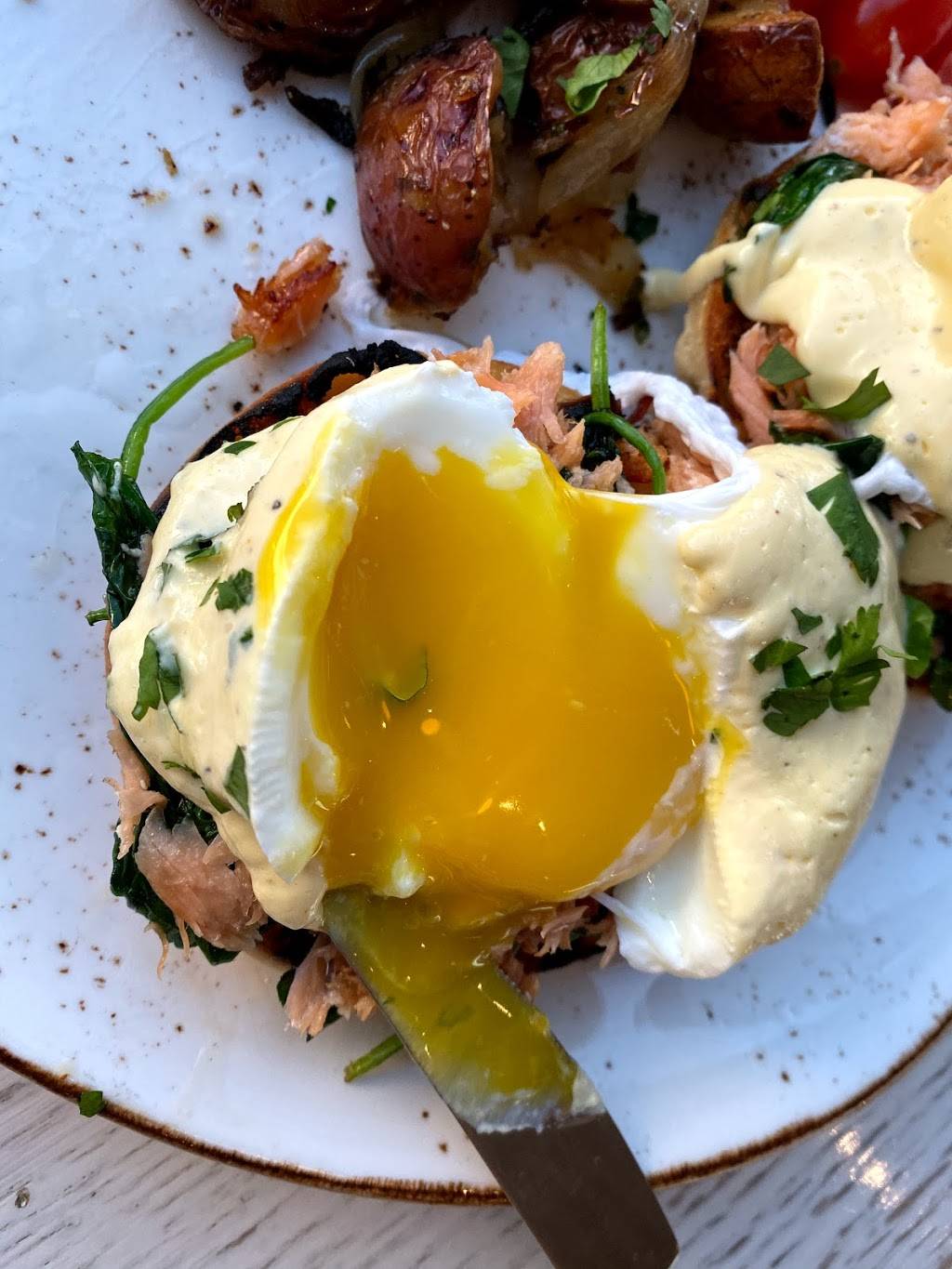 Grill and Vine | restaurant | Denver, CO 80249, USA | 3033171800 OR +1 303-317-1800