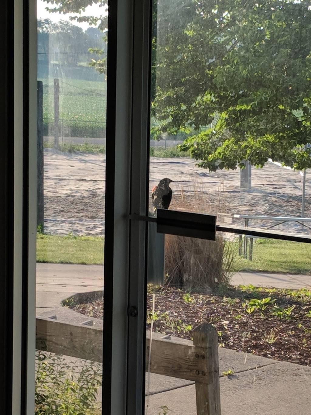 Ks Creek Golf Club and Wine Bar | restaurant | 1265 Sandusky Rd, Jacksonville, IL 62650, USA | 2176020533 OR +1 217-602-0533