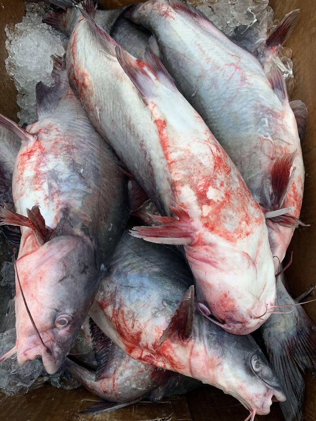 Zebos Crab Shack | restaurant | 4179, 1002 E Duval St, Lake City, FL 32055, USA | 3867193933 OR +1 386-719-3933