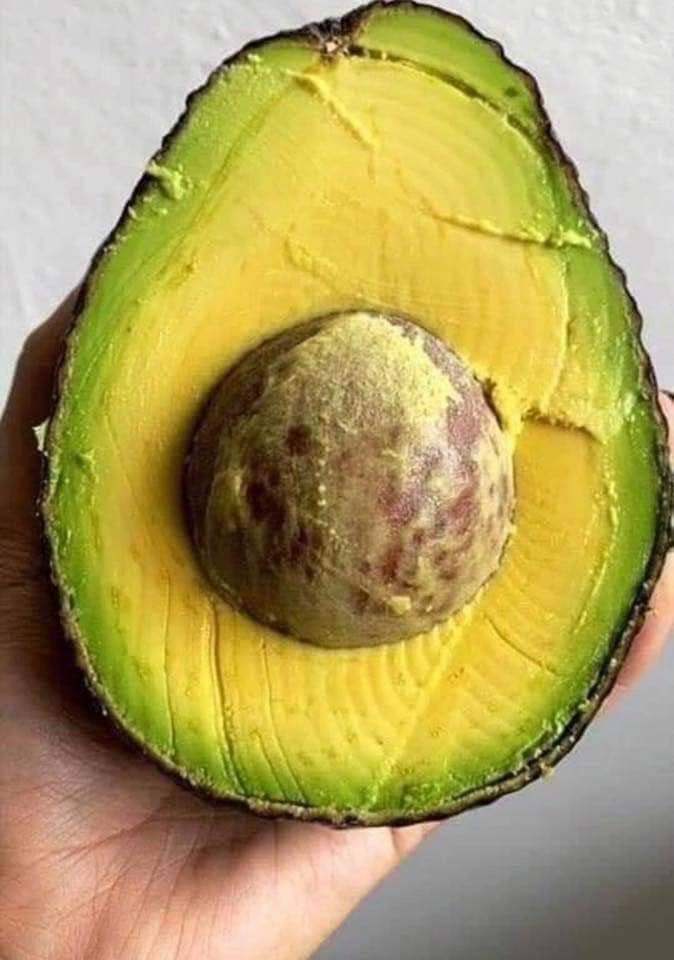 ANDALE ANDALE | restaurant | 1451 Coral Ridge Ave, Coralville, IA 52241, USA | 3196252027 OR +1 319-625-2027