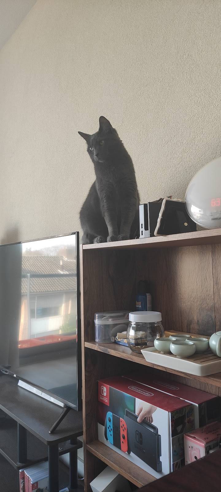 The Black Sheep Restaurant | restaurant | 9935 Discovery Blvd, Manassas, VA 20109, USA | 7034202028 OR +1 703-420-2028