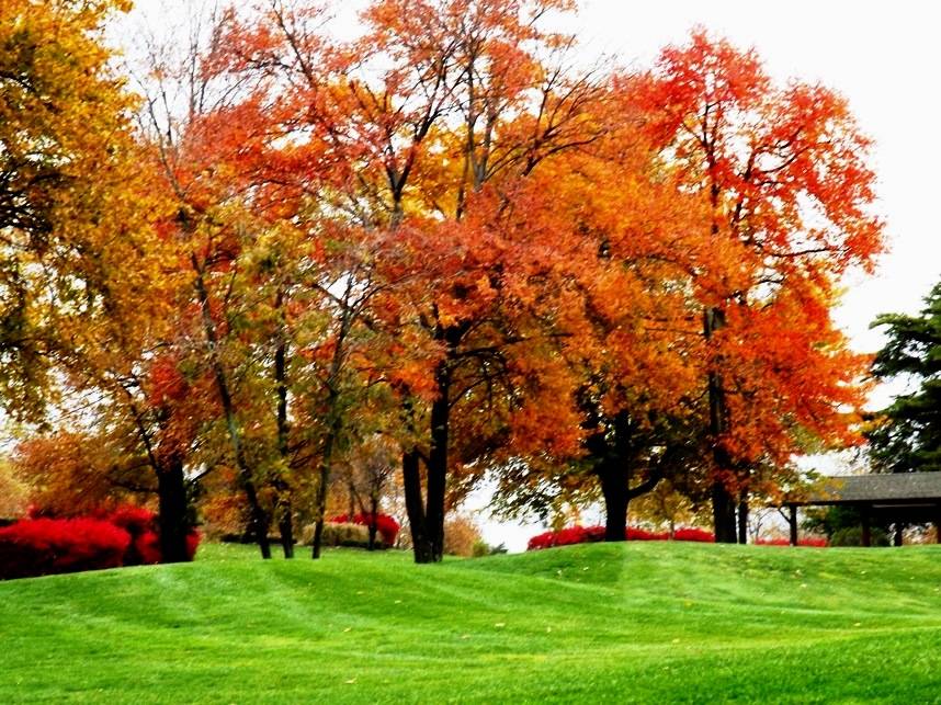 The Timbers At Troy | meal takeaway | 6100 Marshalee Dr, Elkridge, MD 21075, USA | 4103134653 OR +1 410-313-4653