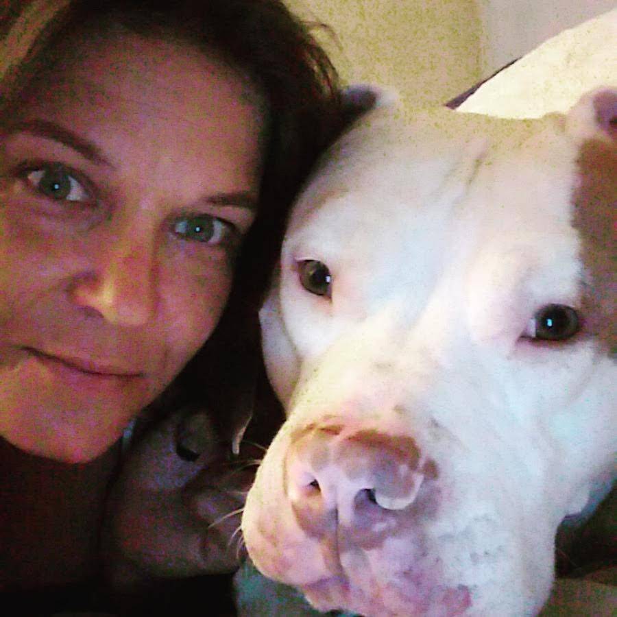 Jade Wok | restaurant | 7026 City Center Way, Fairview, TN 37062, USA | 6157998288 OR +1 615-799-8288