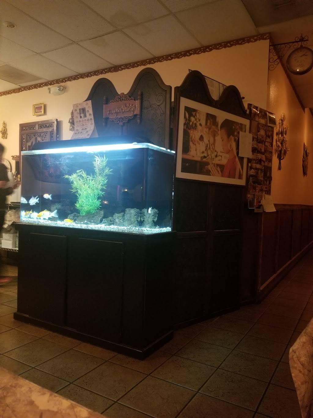 lynns thai restaurant | restaurant | 8492 Gravenstein Hwy, Cotati, CA 94931, USA | 7077939300 OR +1 707-793-9300