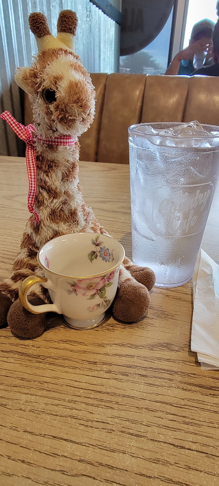 COUNTRY CAFE | restaurant | 10161 W University Blvd, Odessa, TX 79764, USA | 4323810075 OR +1 432-381-0075