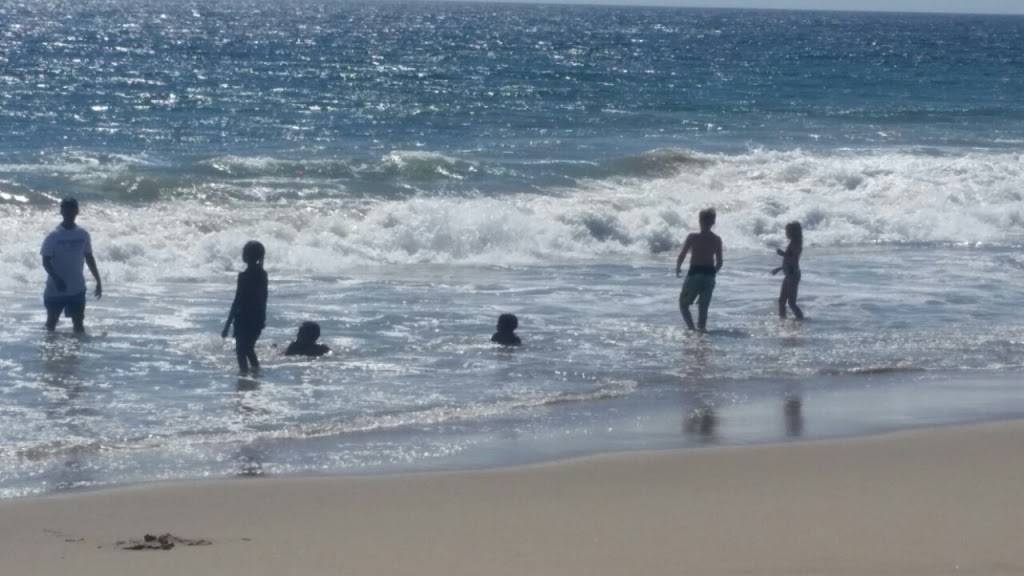 Starbucks | cafe | 1260 Bison Ave, Newport Beach, CA 92660, USA | 9497177681 OR +1 949-717-7681