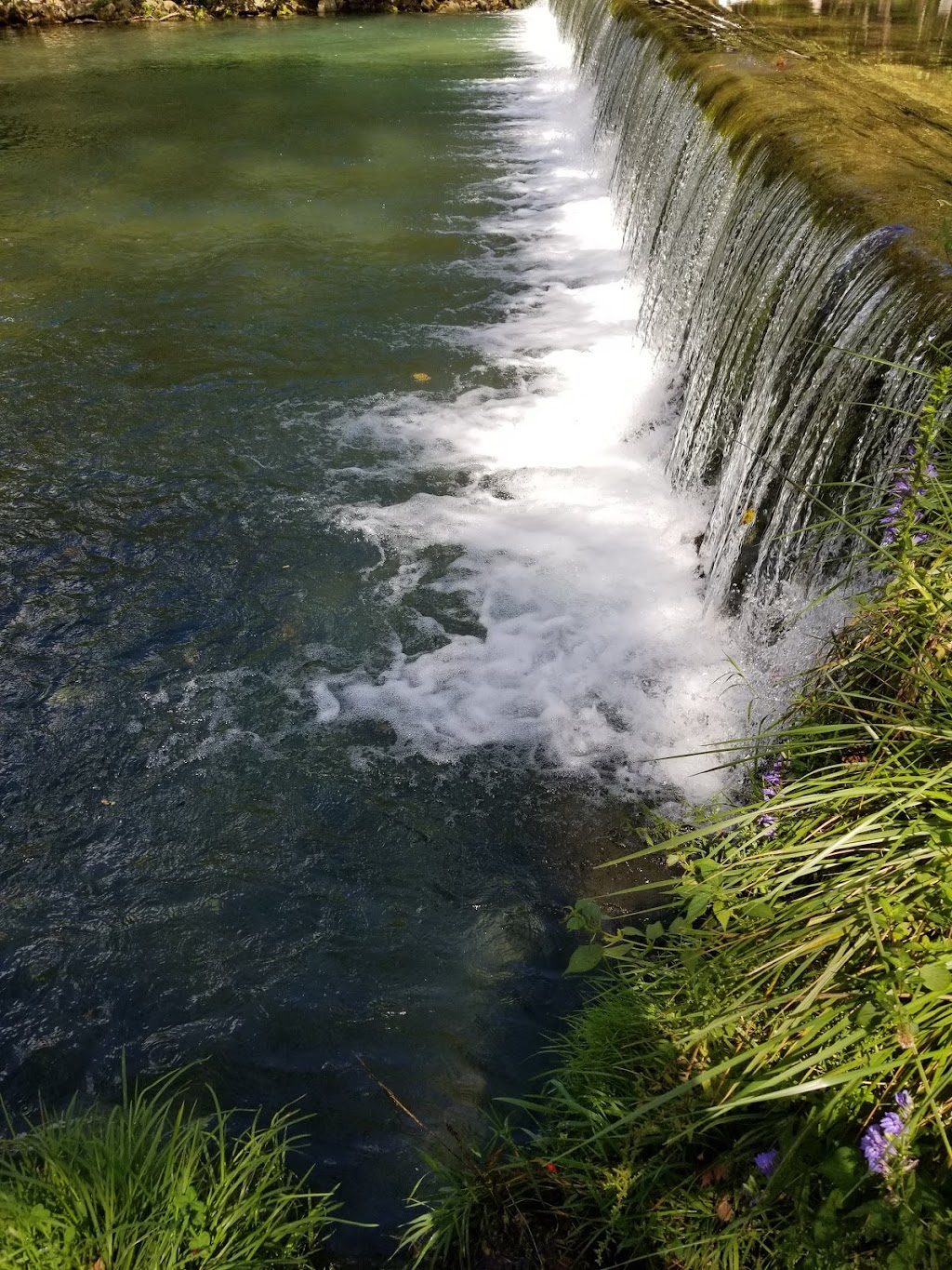 Montauk State Park Lodge | restaurant | 420 County Rd 6670, Salem, MO 65560, USA | 5735482434 OR +1 573-548-2434