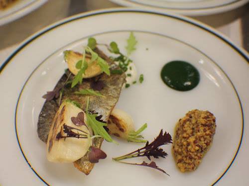 Tabula Rasa on Glade | restaurant | 2351 Glade Rd, Blacksburg, VA 24060, USA | 5408082515 OR +1 540-808-2515