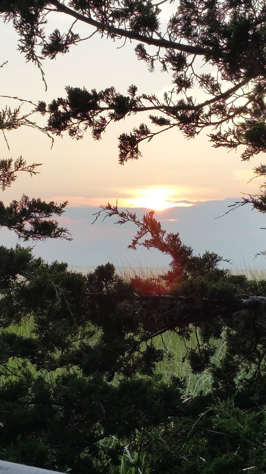 Big Guys Q, LLC | restaurant | 9569 Walsh Rd, Montague, MI 49437, USA | 2312065070 OR +1 231-206-5070